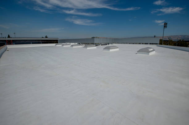 Best Sheet Metal Roofing  in Dowagiac, MI