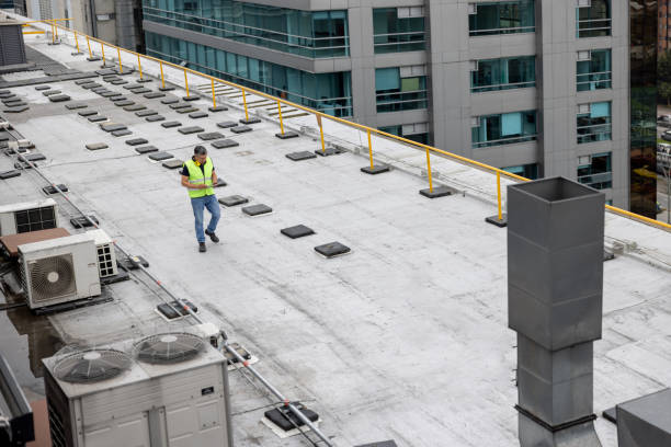 Best Roof Maintenance and Cleaning  in Dowagiac, MI